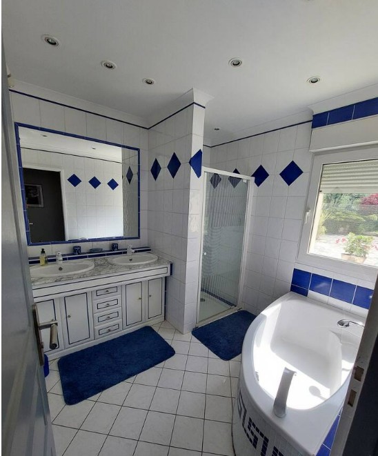Capture d’écran 2025-04-11 093850 salle de bain