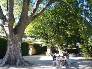 Mas provençale