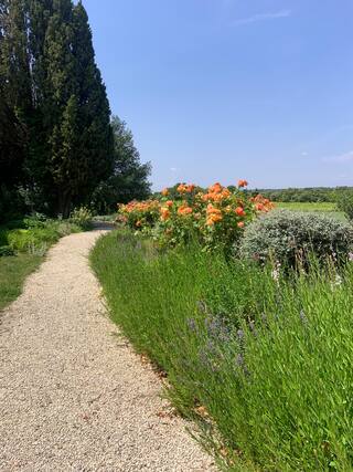 Drôme provençale
