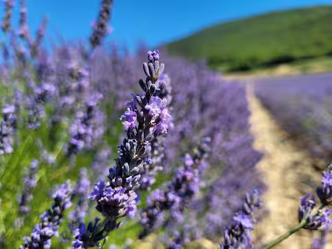 aba47c42-7312-4375-9aeb-1ff89f931c98